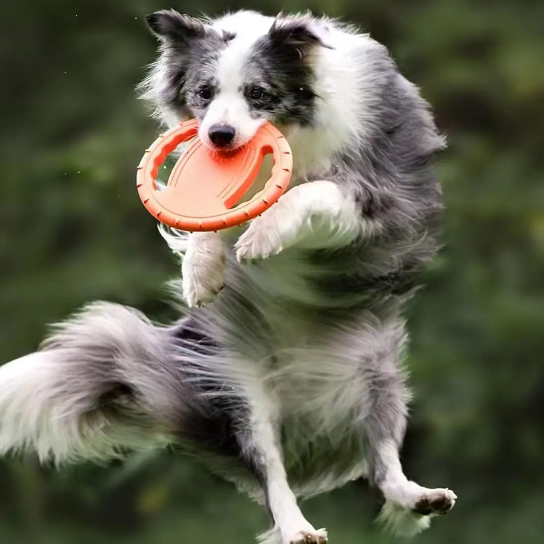 EVA Flying Disc Dog Training Toy Puppy Outdoor Interactive Game Playing Supplies Pet Chewing Flying Saucer Floating Water Toy
