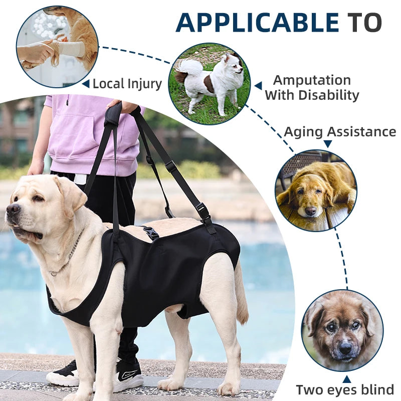 Dog Body Support Harness for Injured Disabled Elderly Dogs Pet Dog Soft Carrying Injuries Recover Support Harness Pet Supplies