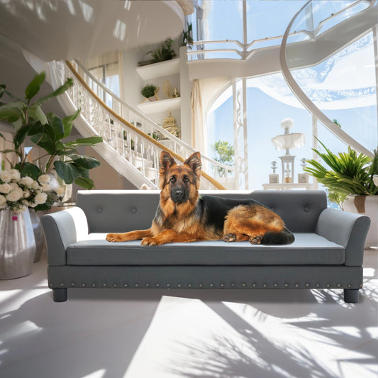 BINGOPAW Durable Elevated Rectangle Dog Bed Sofa For Pets