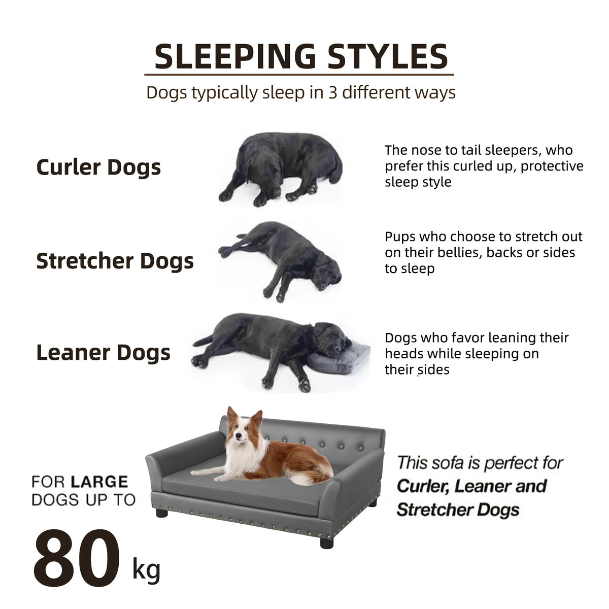 BINGOPAW Elevated Dog Sofa Bed With Waterproof Leather Cover