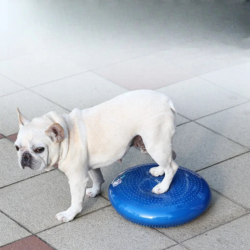 Pet Massage Cushion Balance Plate Padded Dog Creative Yoga Ball Rehabilitation Training Pet Supplies Products Toys Accessories
