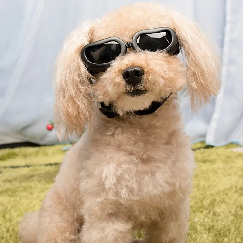 Pet Sunglasses for Cats and Dogs Windproof Dustproof UV Protection