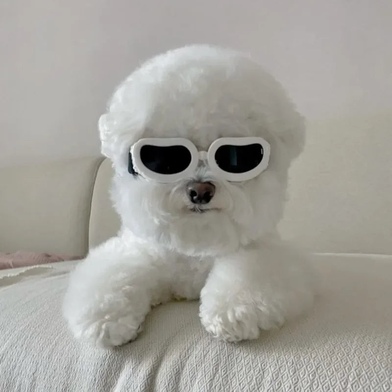 Pet Sunglasses for Cats and Dogs Windproof Dustproof UV Protection