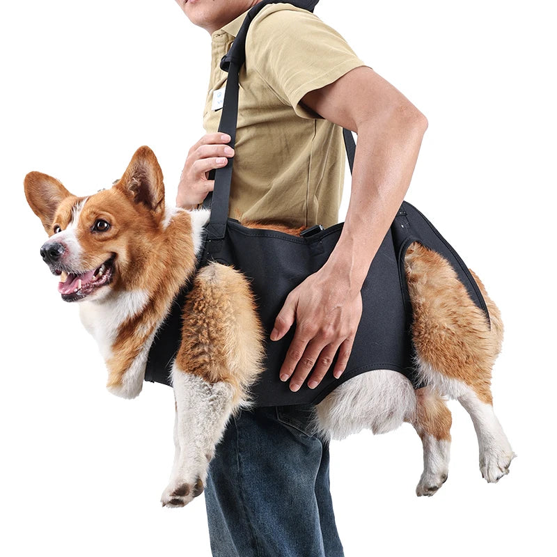 Dog Body Support Harness for Injured Disabled Elderly Dogs Pet Dog Soft Carrying Injuries Recover Support Harness Pet Supplies