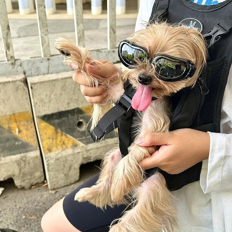 Pet Sunglasses for Cats and Dogs Windproof Dustproof UV Protection
