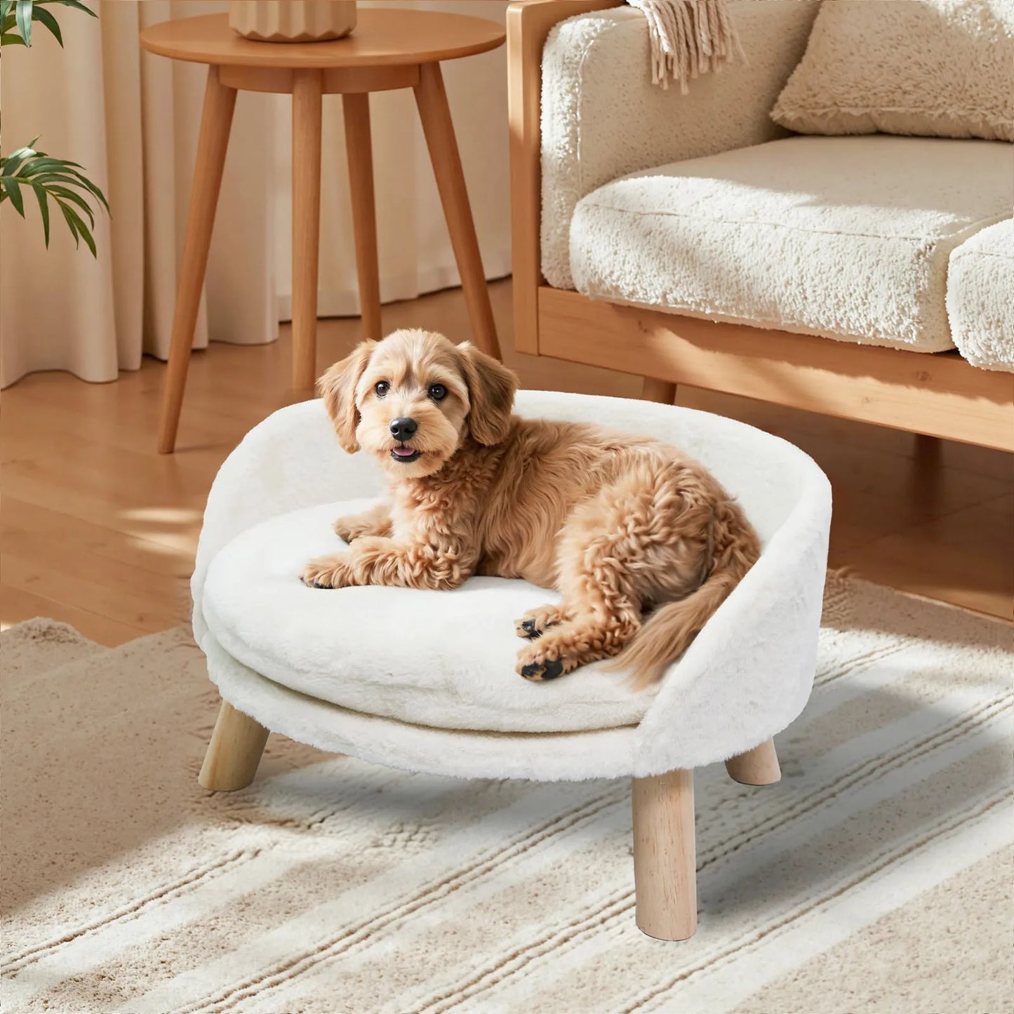 BORWART Ultra Soft Elevated Dog Cat Sofa Bed With Removable Cushion