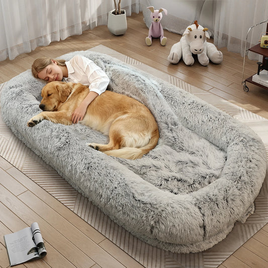 Orthopedic Human Dog Bed With Removable Washable Cover