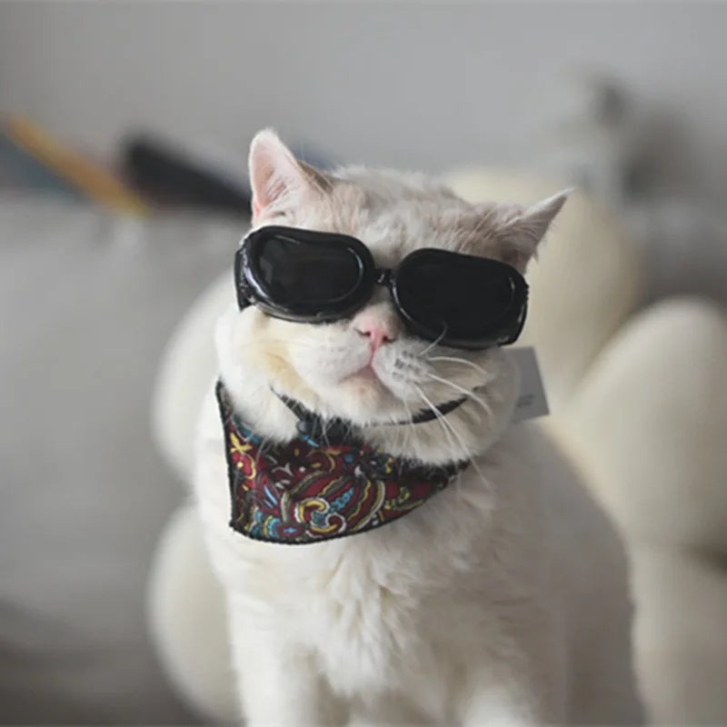 Pet Sunglasses for Cats and Dogs Windproof Dustproof UV Protection